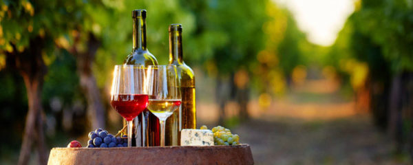 Degustazioni